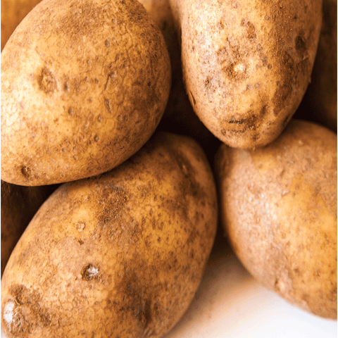 Potato