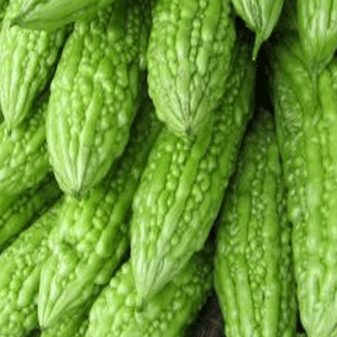 Bitter Gourd-Org