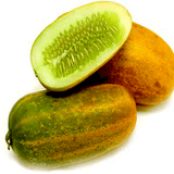 Indian Cucumber-Org