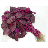 Amaranthus dubius green