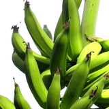 Banana Green