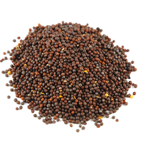 Mustard
