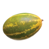Indian Cucumber-Org